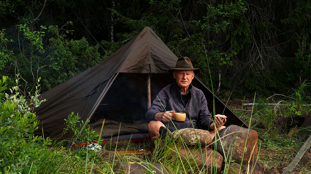 A perfect campsite in the woods