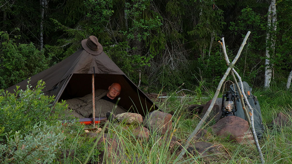 A perfect campsite in the woods